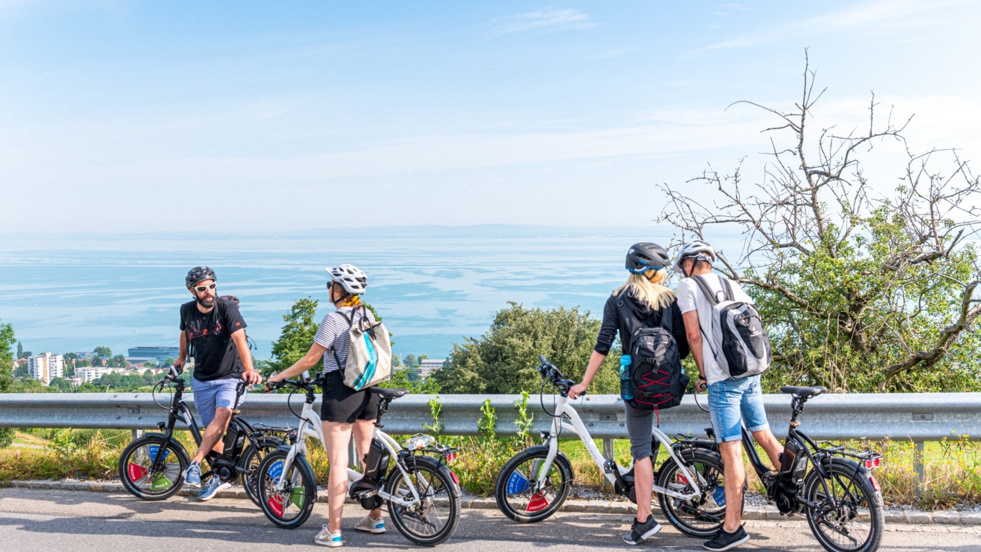Four people with bicycles at a viewpoint overlooking the lake