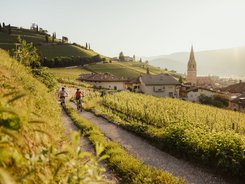 Two cyclists riding on a vineyard path near village church in sunlight