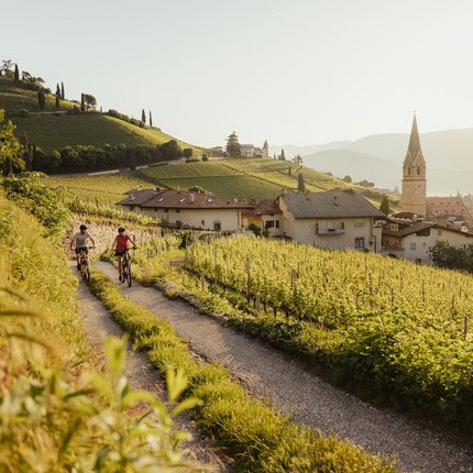 Two cyclists riding on a vineyard path near village church in sunlight