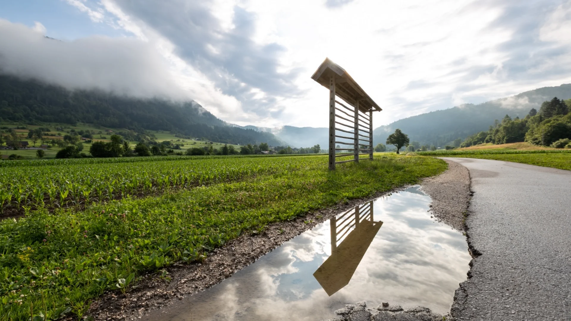 Landweg naast veld met weerspiegeling van een houten bord in een plas