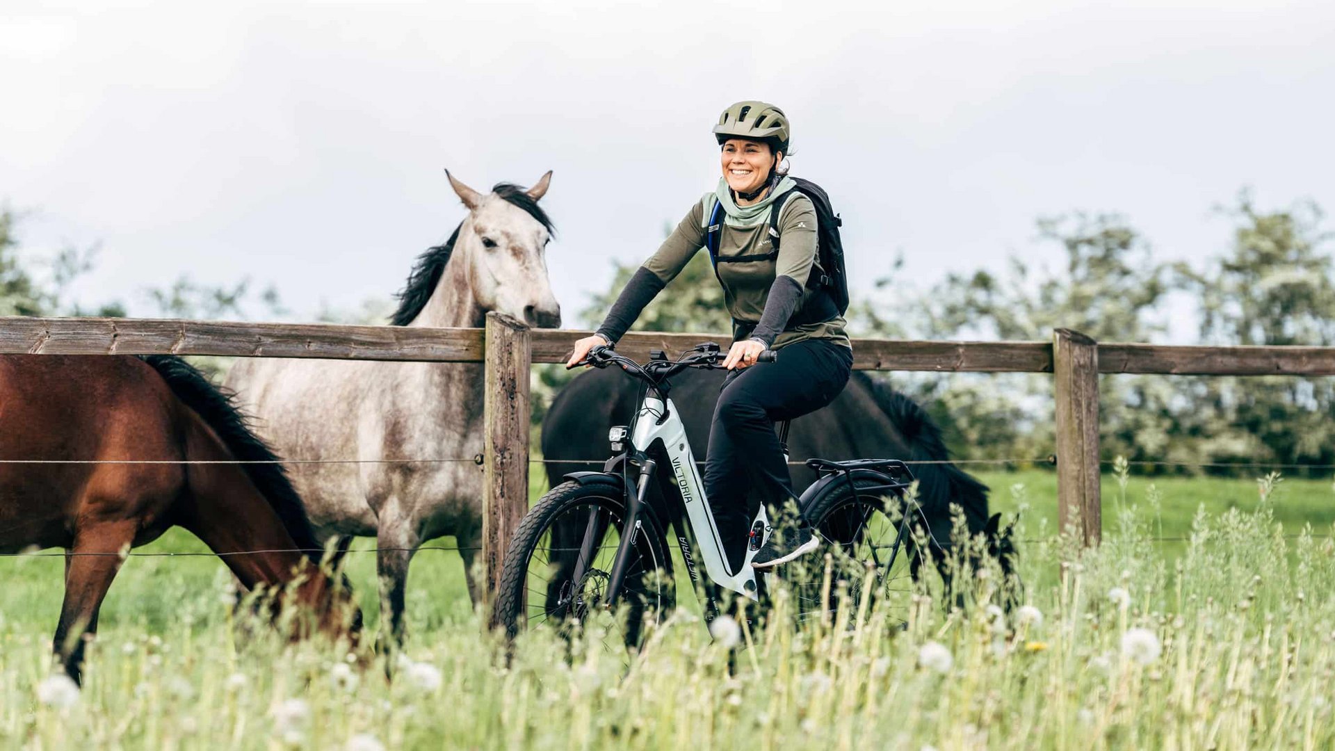 Victoria Woman riding e-bike near horses in a green field