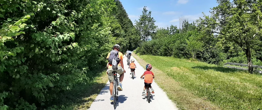 Familie fietst op bospad bij zonnig weer