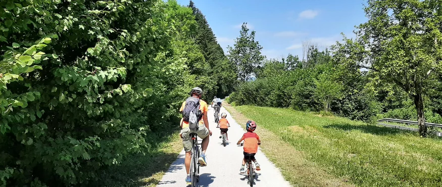 Familie fährt mit Fahrrädern auf Waldweg bei sonnigem Wetter