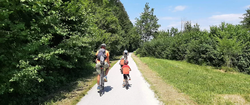 Familie fietst op een pad naast bomen onder een heldere blauwe lucht