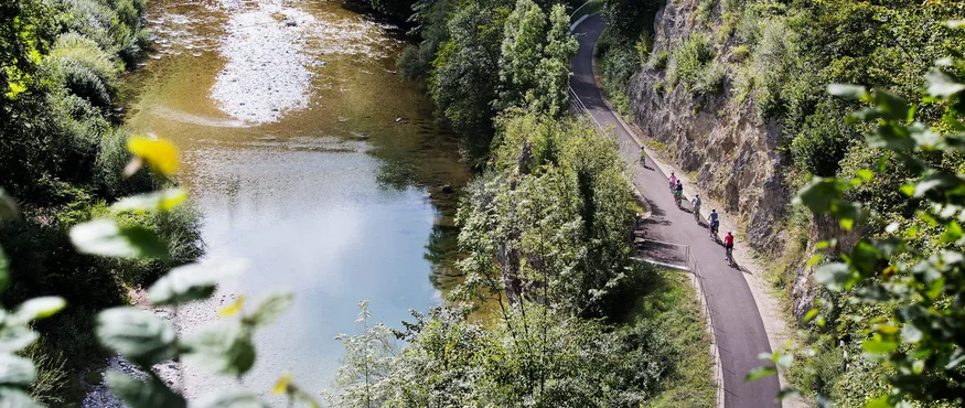 Fahrradfahrer auf einem Waldweg entlang eines Flusses