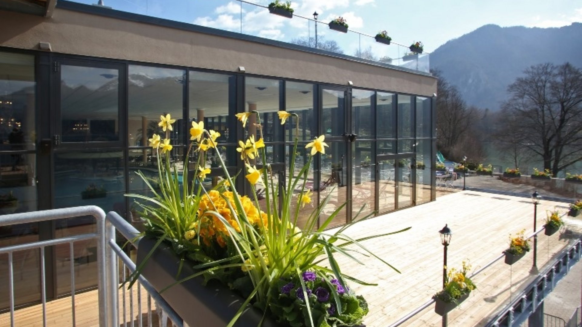 Flowers in planter on terrace of modern building with mountain view