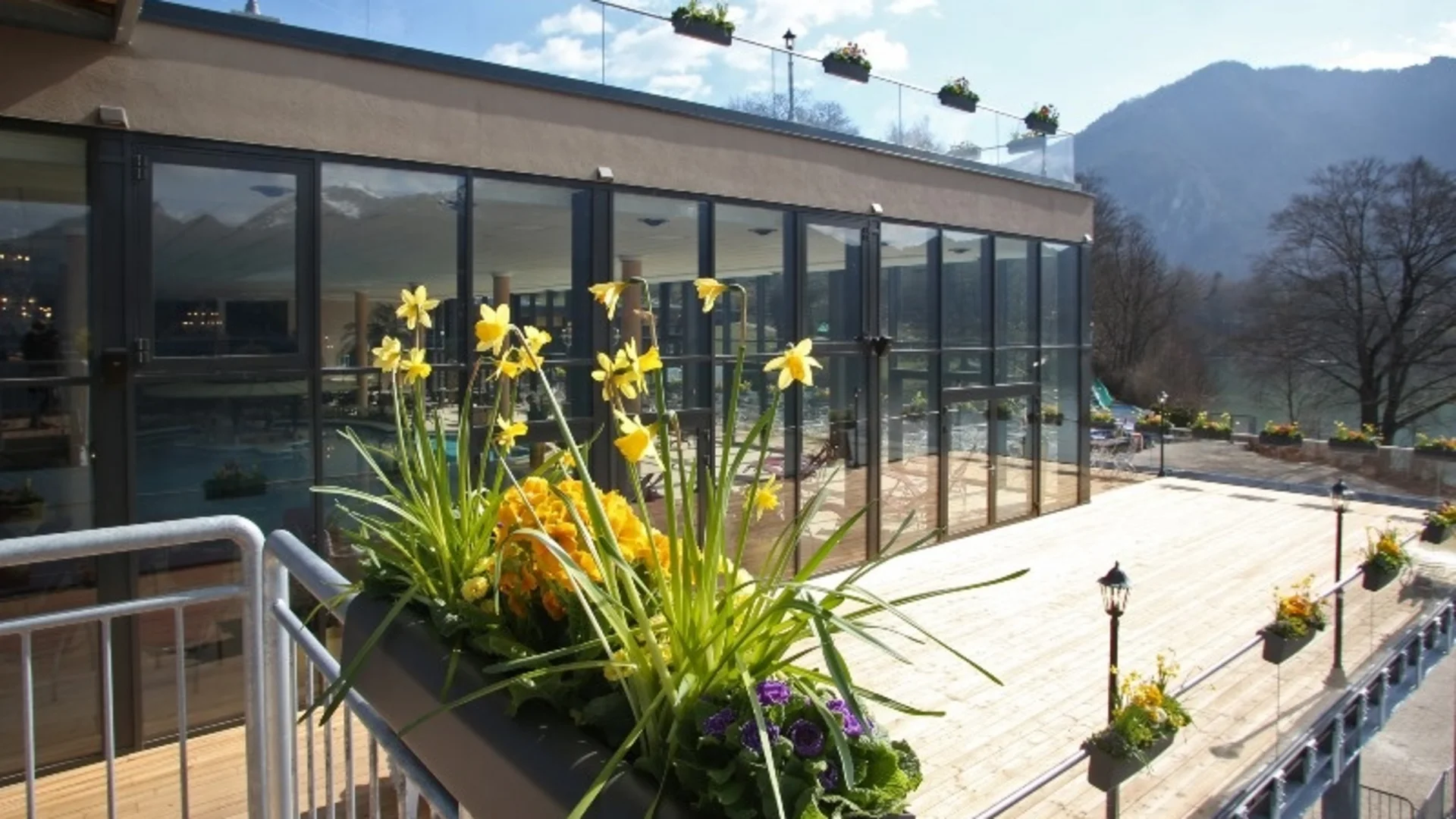 Blumen in Blumenkasten auf Terrasse eines modernen Gebäudes mit Bergblick