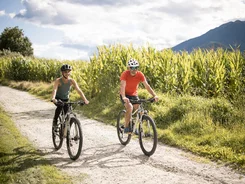 Twee mensen fietsen op mountainbikes over een zonnig bospad