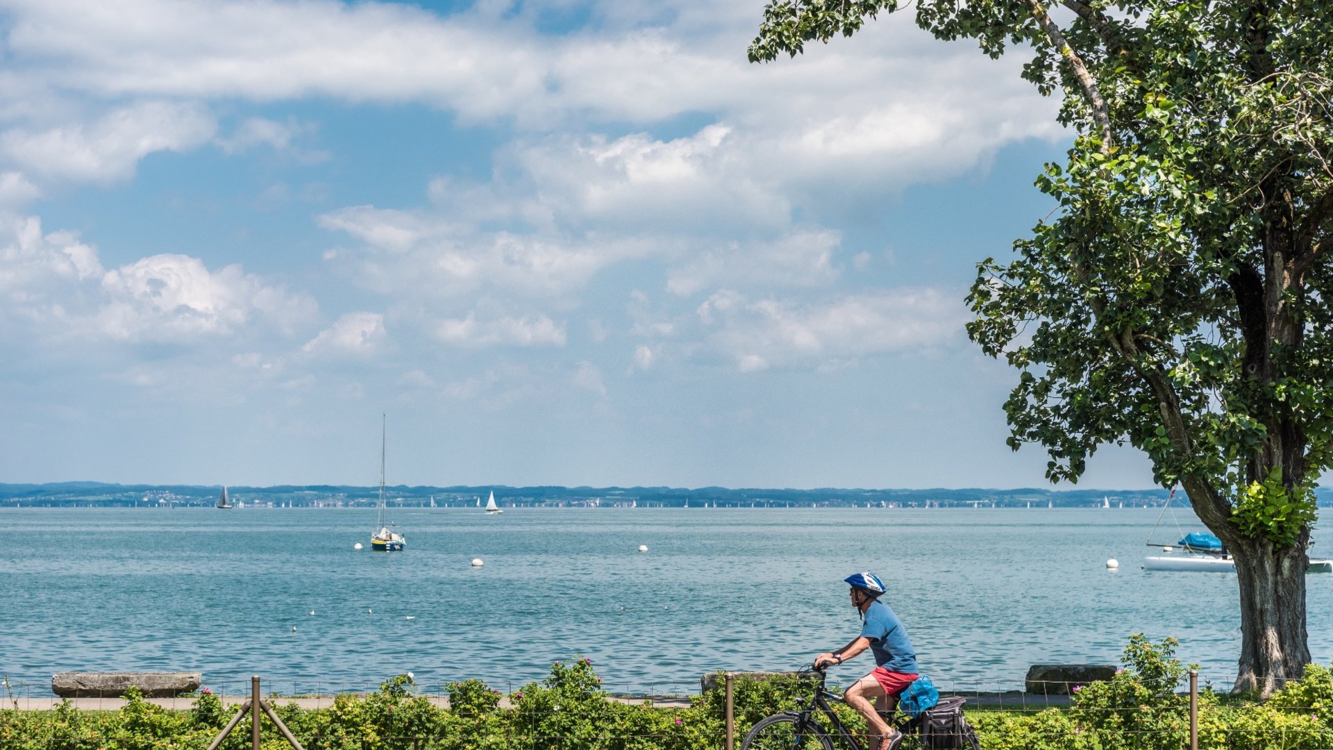 Man fietst langs het meer met zeilboten bij zonnig weer