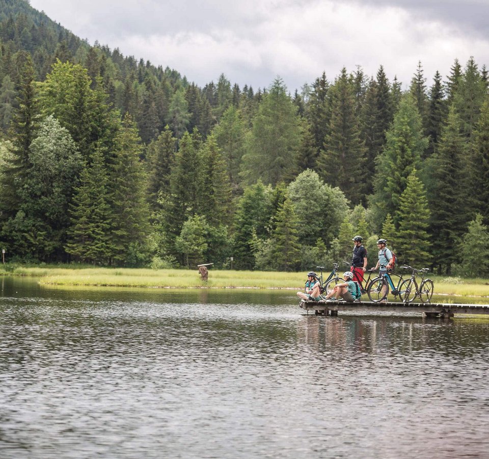 Radfahrer auf einem Steg am See in einem Waldgebiet