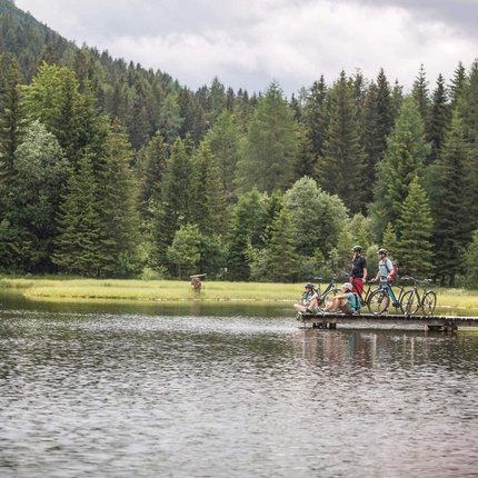 Radfahrer auf einem Steg am See in einem Waldgebiet