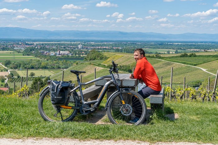 Man in red shirt sitting on bench next to bike overlooking vineyards