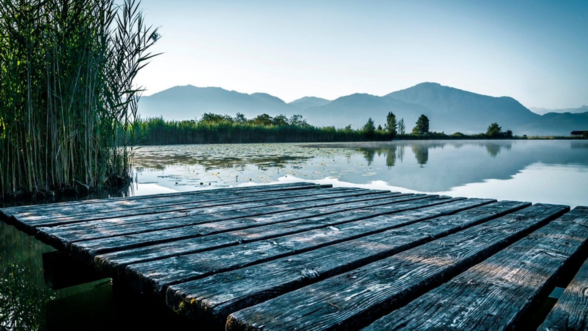 Wooden pier on calm lake with mountain view and reeds in morning light