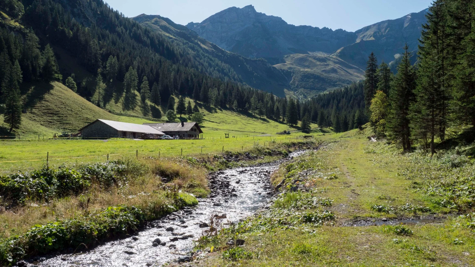 Bach fließt durch bergige Wiese mit Haus und Wald in sonnigem Tal