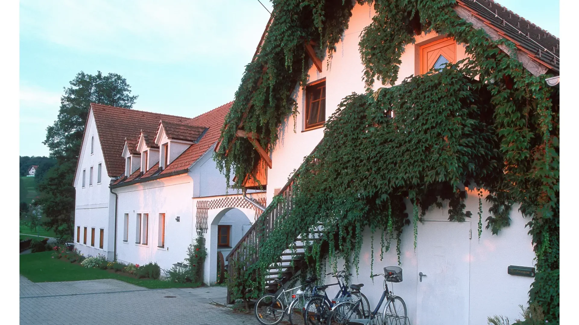 Haus mit grünen Kletterpflanzen und Fahrrädern davor bei Sonnenuntergang