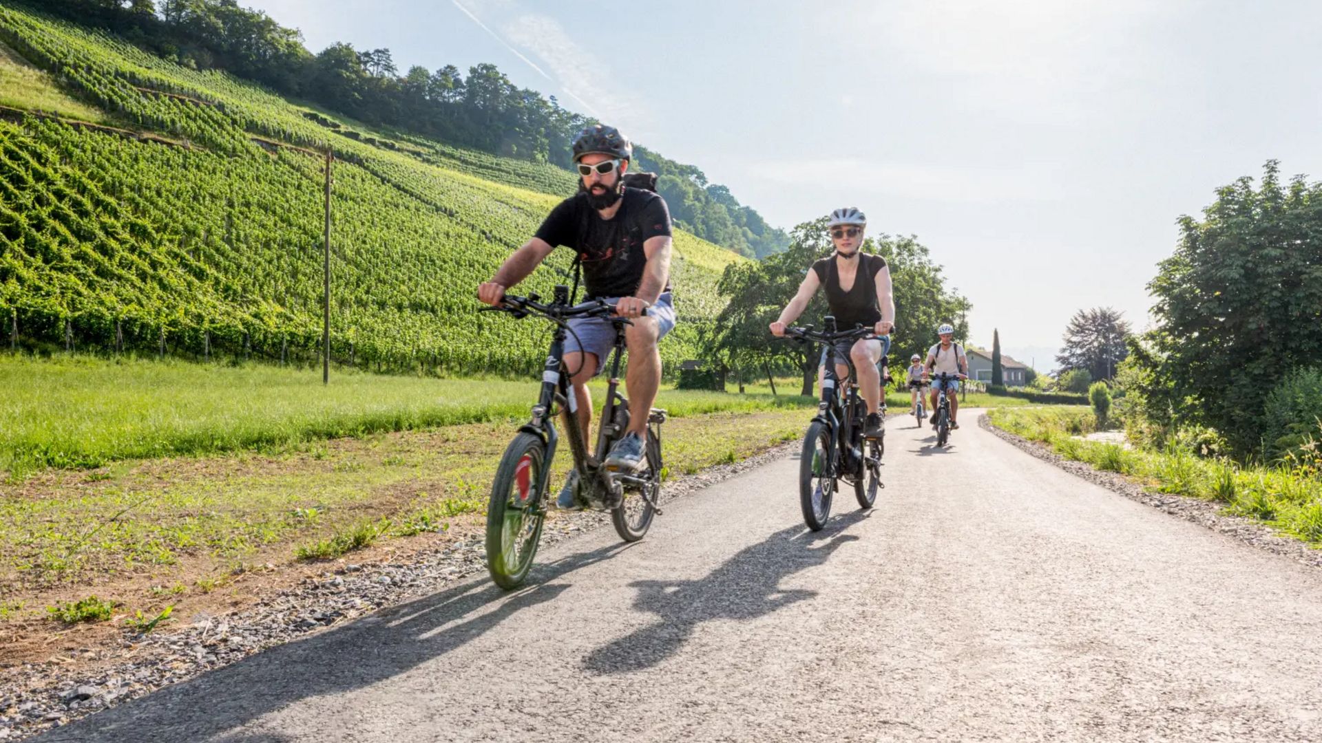 Group of cyclists riding on rural road next to vineyards in sunny weather