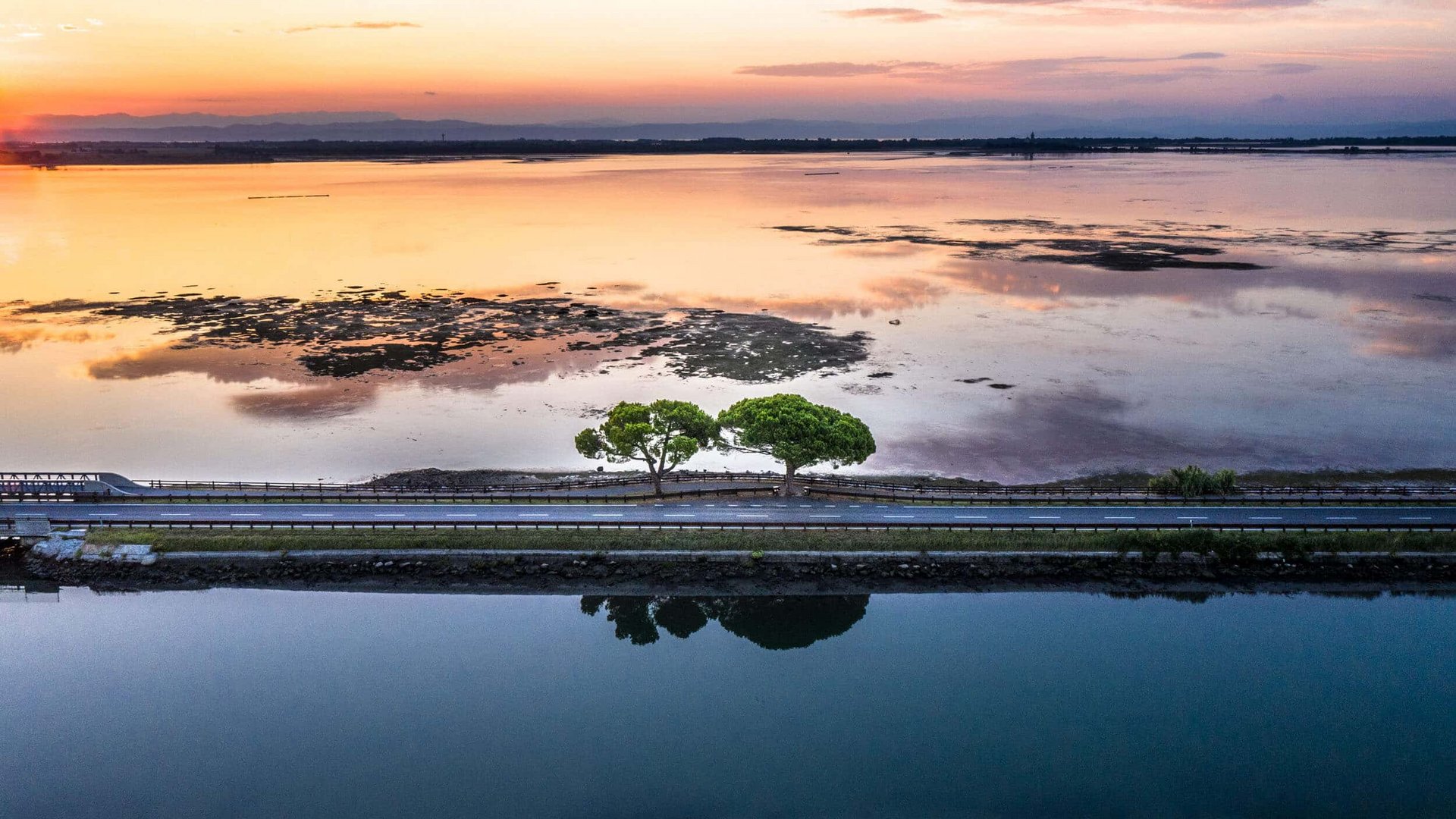 Lake with road and two trees at sunset reflected in the water
