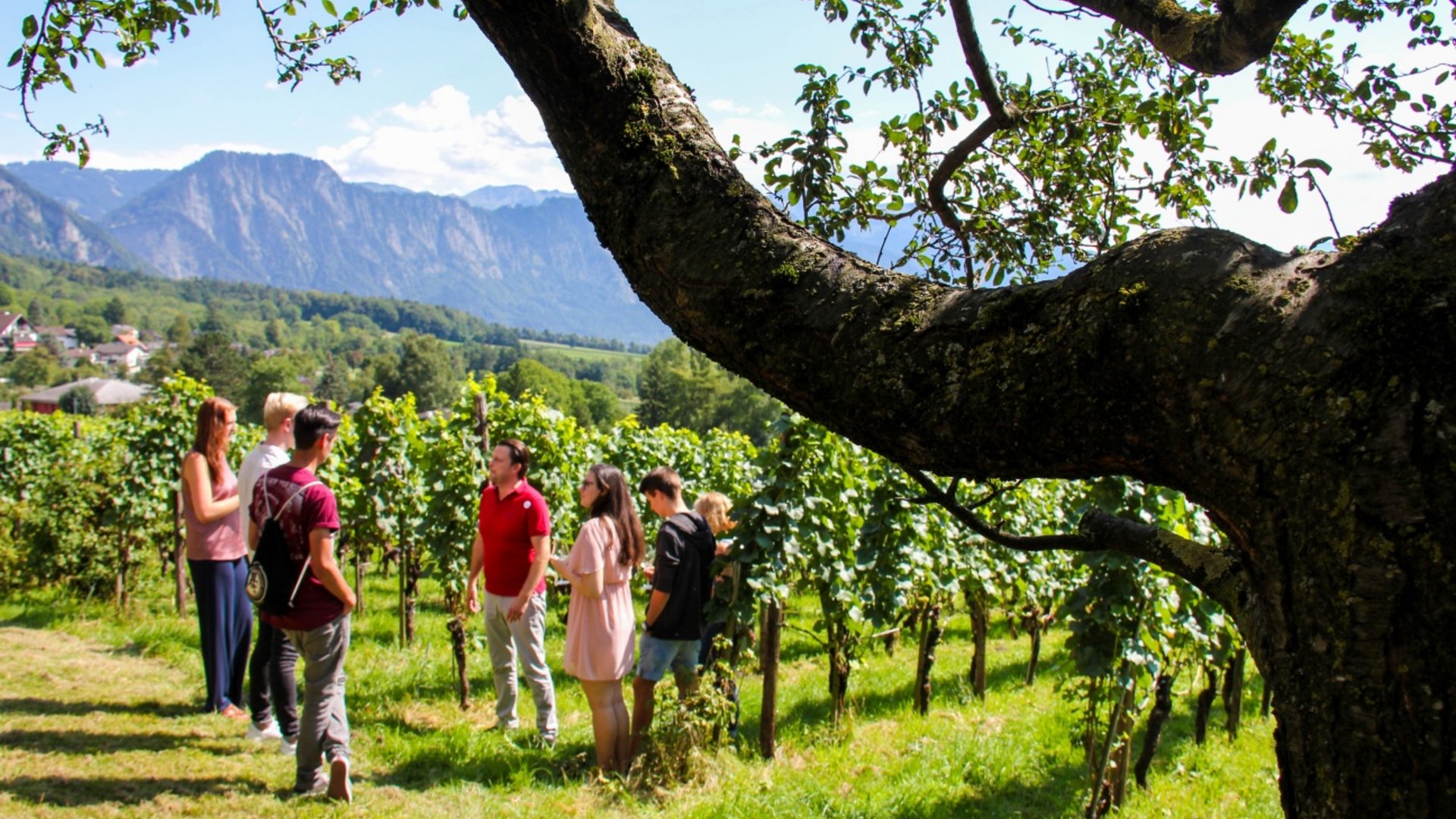 Group of people on a vineyard tour with mountains in the background