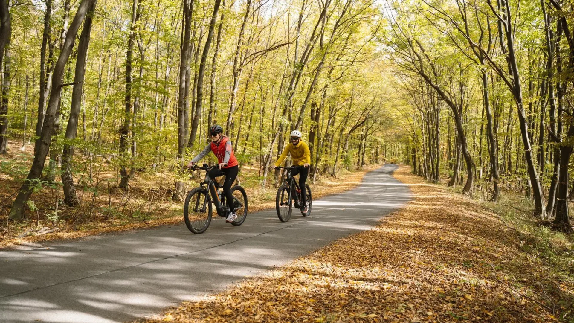 Tour-Detail © Neubauer Zwei Radfahrer fahren auf einem Waldweg im Herbst