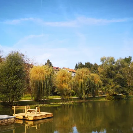 Holzsteg mit Bank am ruhigen See mit grünen Bäumen und Häusern im Hintergrund
