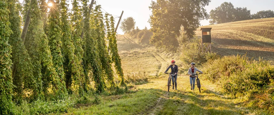 Hopfenschleife © Tourismus Oberbayern München e.V. - Peter von Felbert Zwei Radfahrer gehen mit ihren Fahrrädern auf einem ländlichen Weg bei Hopfenpflanzen