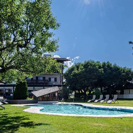 Sunny garden with pool and lounge chairs under trees