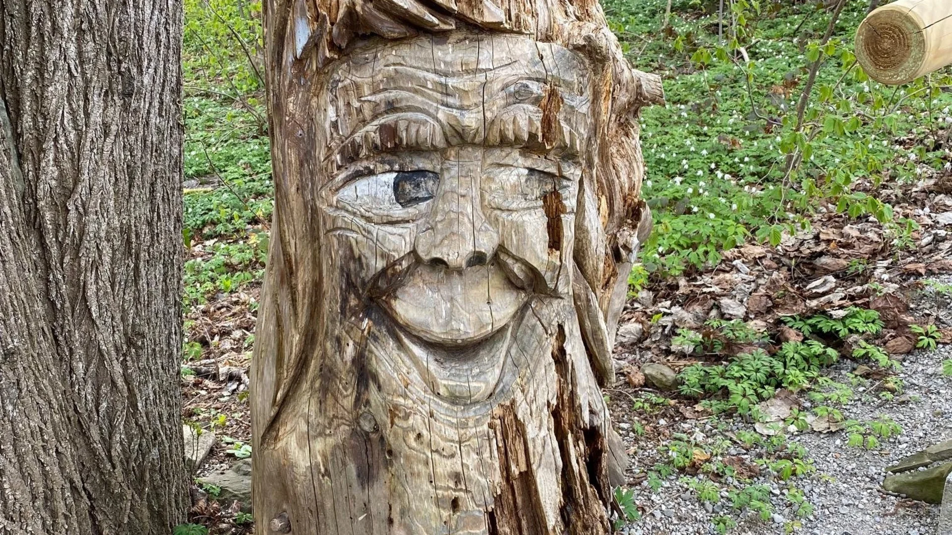 Baumstumpf mit lächelndem Gesicht geschnitzt im Wald