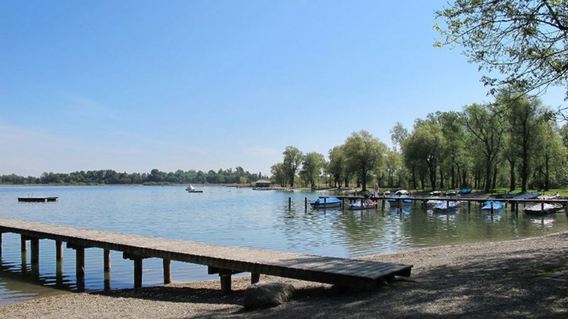Wooden pier on lake with boats and trees under clear blue sky