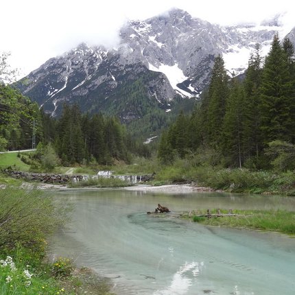 Clear mountain river with pine forest and snowy peaks