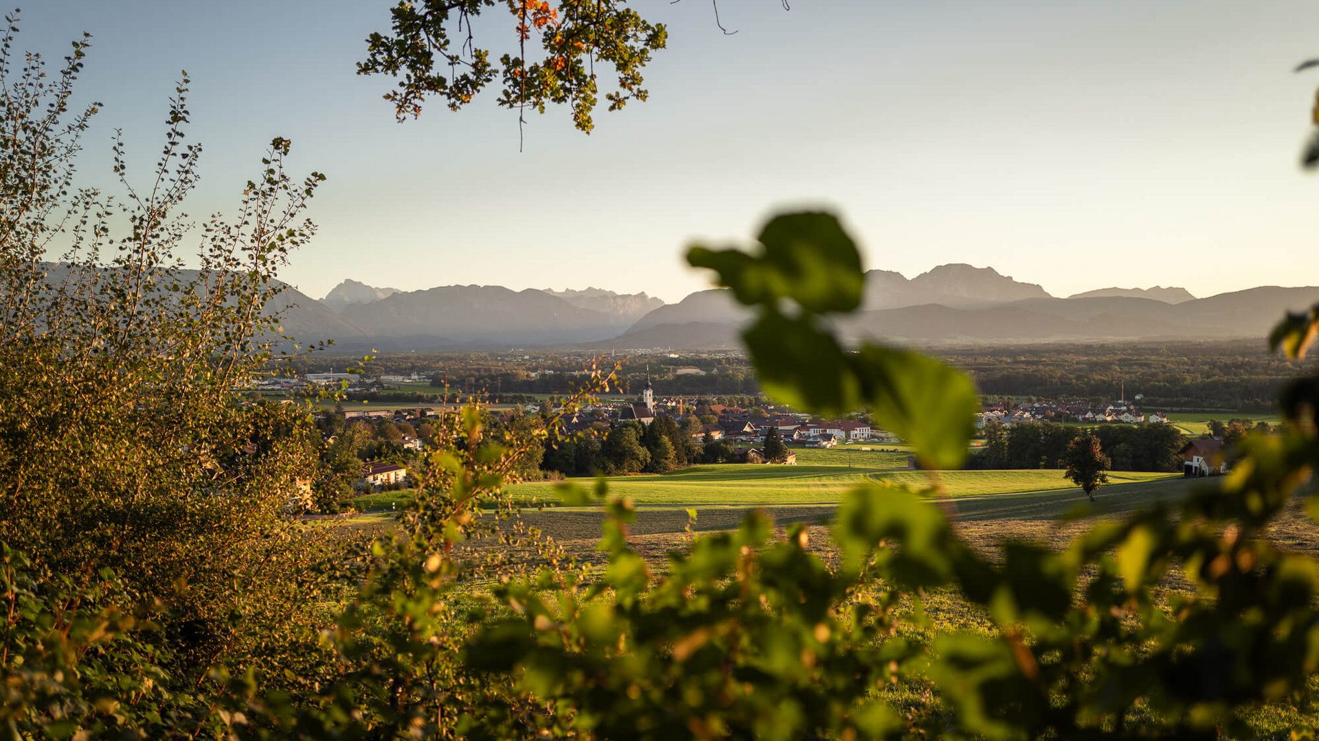 Voglwirt – Pfarrkirche Anthering – Haunsberg © Jakob Eder Blick auf eine grüne Landschaft mit Dorf und Bergen im Hintergrund bei Sonnenuntergang