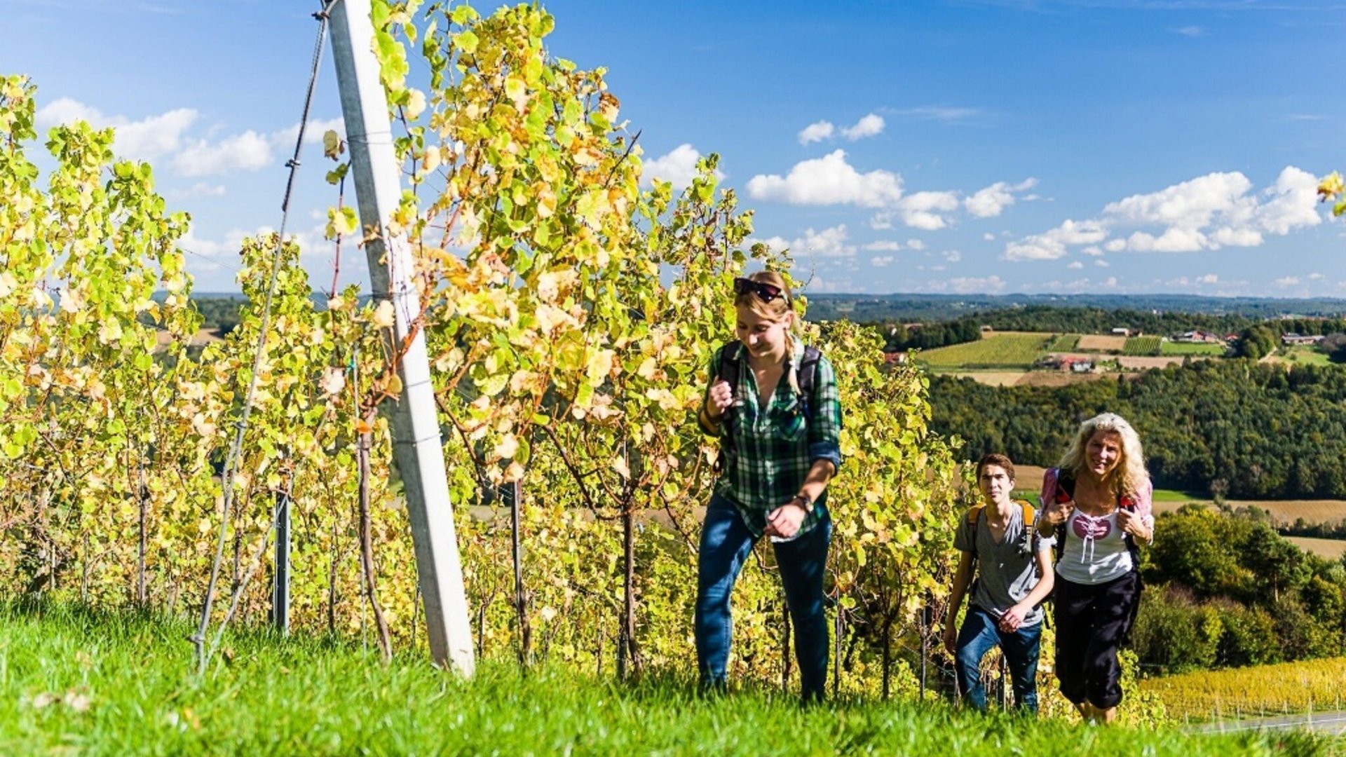 Three hikers walking through sunny vineyard with panoramic landscape view