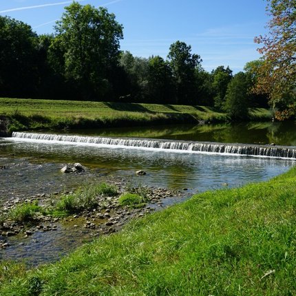 River with small waterfall and green trees in bright sunlight