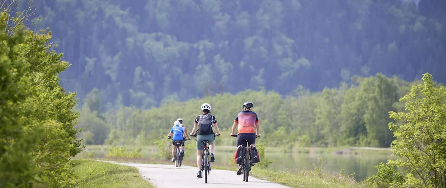 Vier Radfahrer fahren auf einem Weg entlang eines Sees in einer bewaldeten Berglandschaft