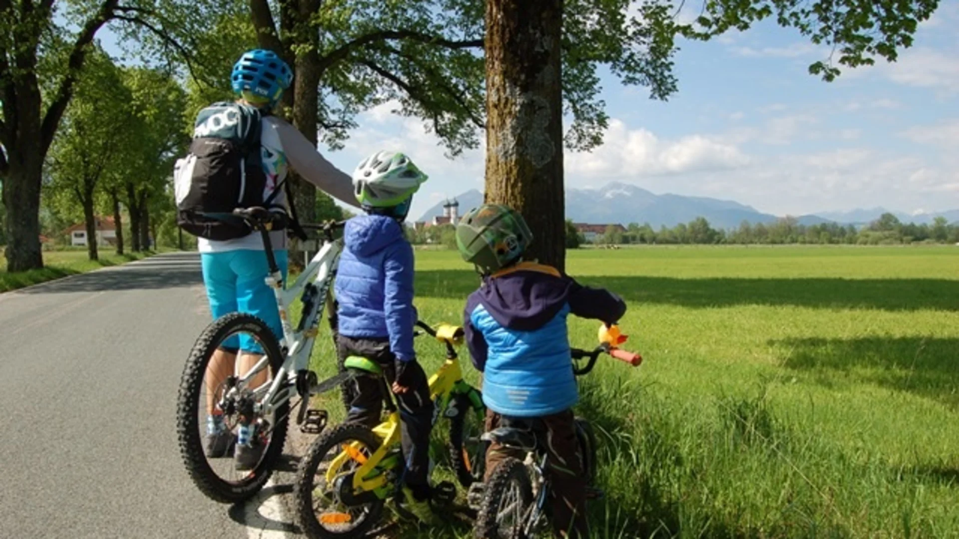 Drei Radfahrer mit Helmen stehen an einem Baum neben einer Landstraße