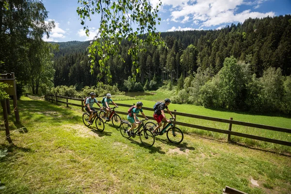 Murtal auf zwei Rädern © Velontour Vier Radfahrer fahren auf einem Waldweg bei sonnigem Wetter