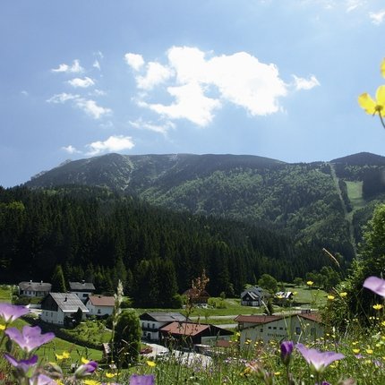 Mountain village with wildflowers and forested hills under blue sky
