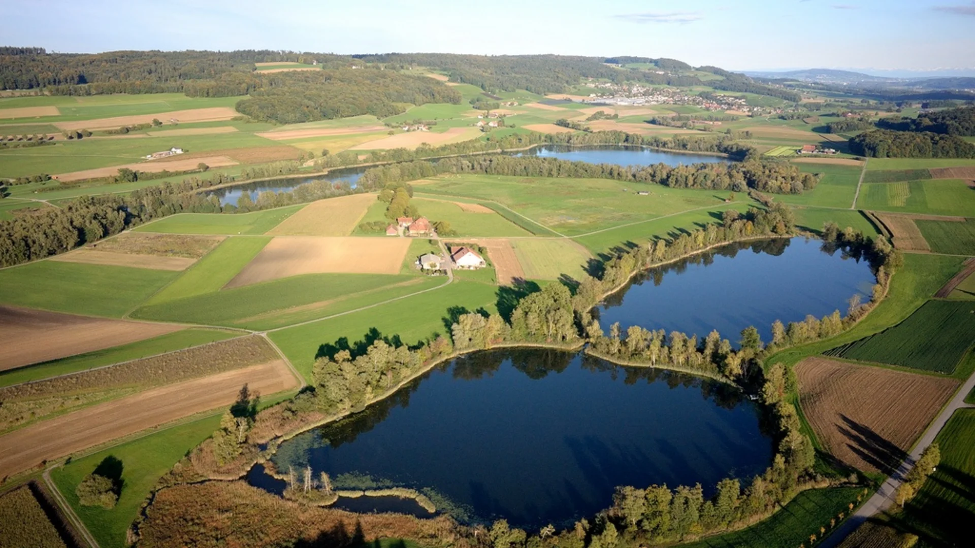 Luchtfoto van twee vijvers in een groen landschap met velden en bos