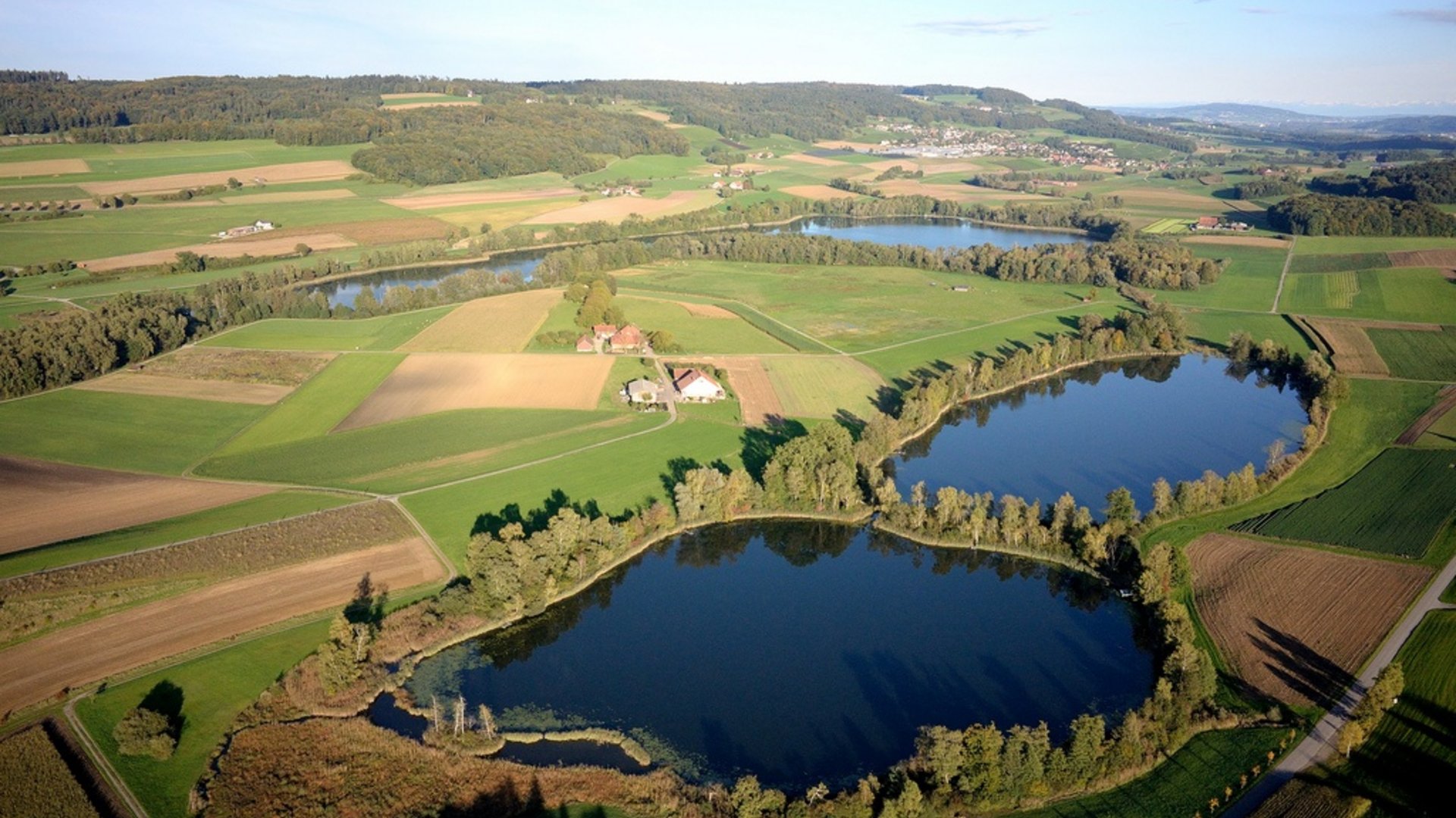 Aerial view of two ponds in a green landscape with fields and forest