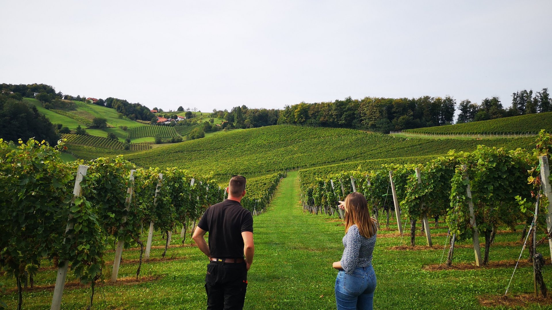 Two people looking over a vineyard towards green hills and trees