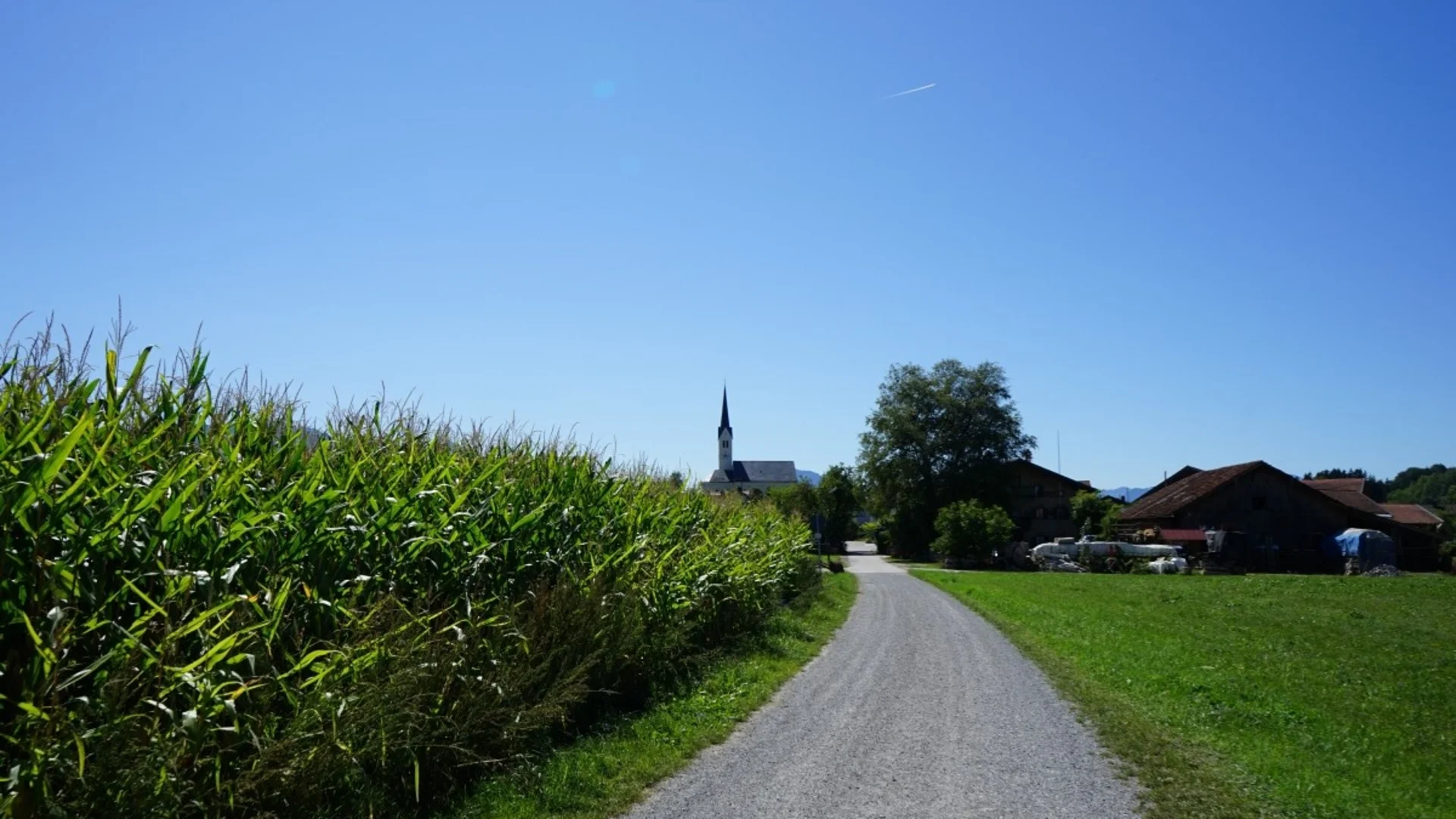 Feldweg neben Maisfeld führt zu Dorf mit Kirche unter klarem blauem Himmel