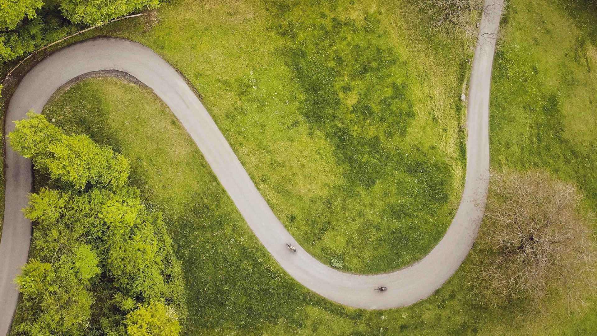 Aerial view of a winding path through a green park with trees