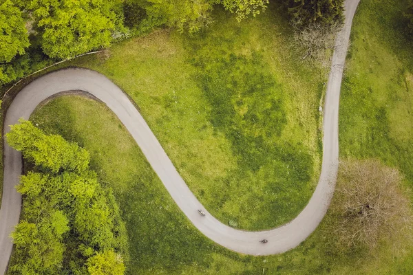 Luchtfoto van een kronkelend pad door een groen park met bomen