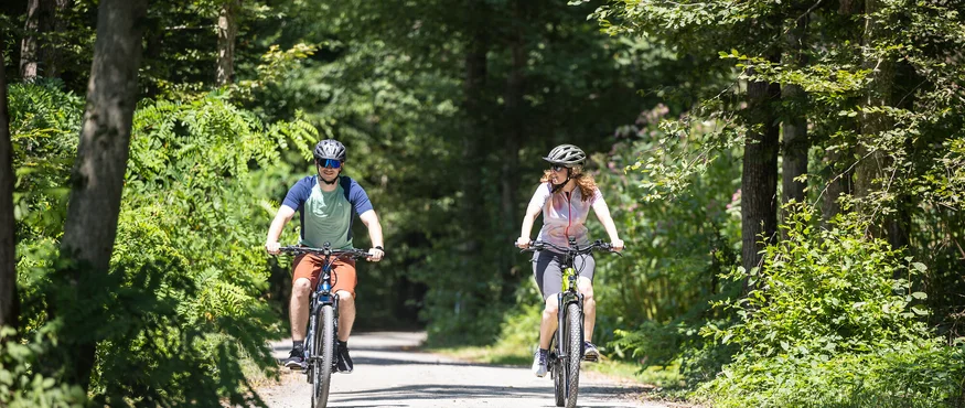 Genuss mit jedem Tritt im Thermen- & Vulkanland © Heiko Mandl Paar fährt Mountainbikes auf Waldweg an sonnigem Tag