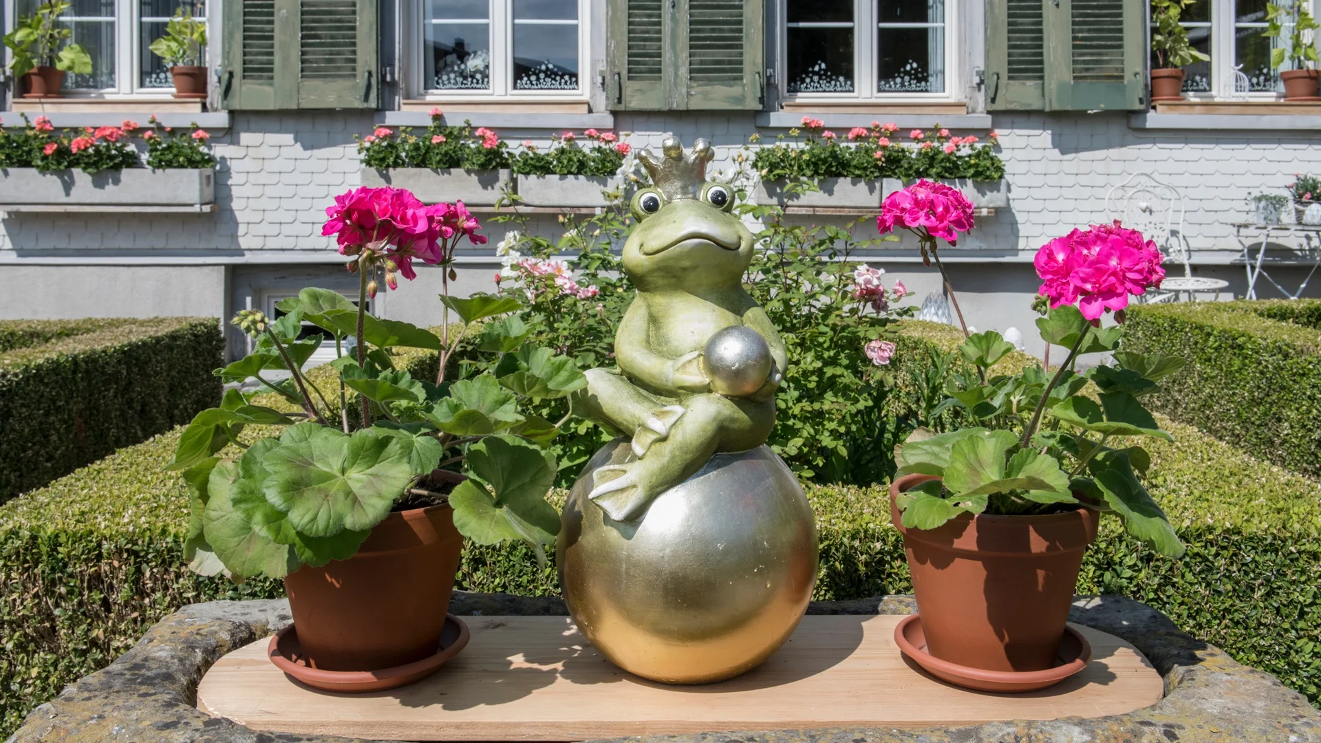 Kikkerbeeld met kroon op gouden ei tussen bloempotten voor huis