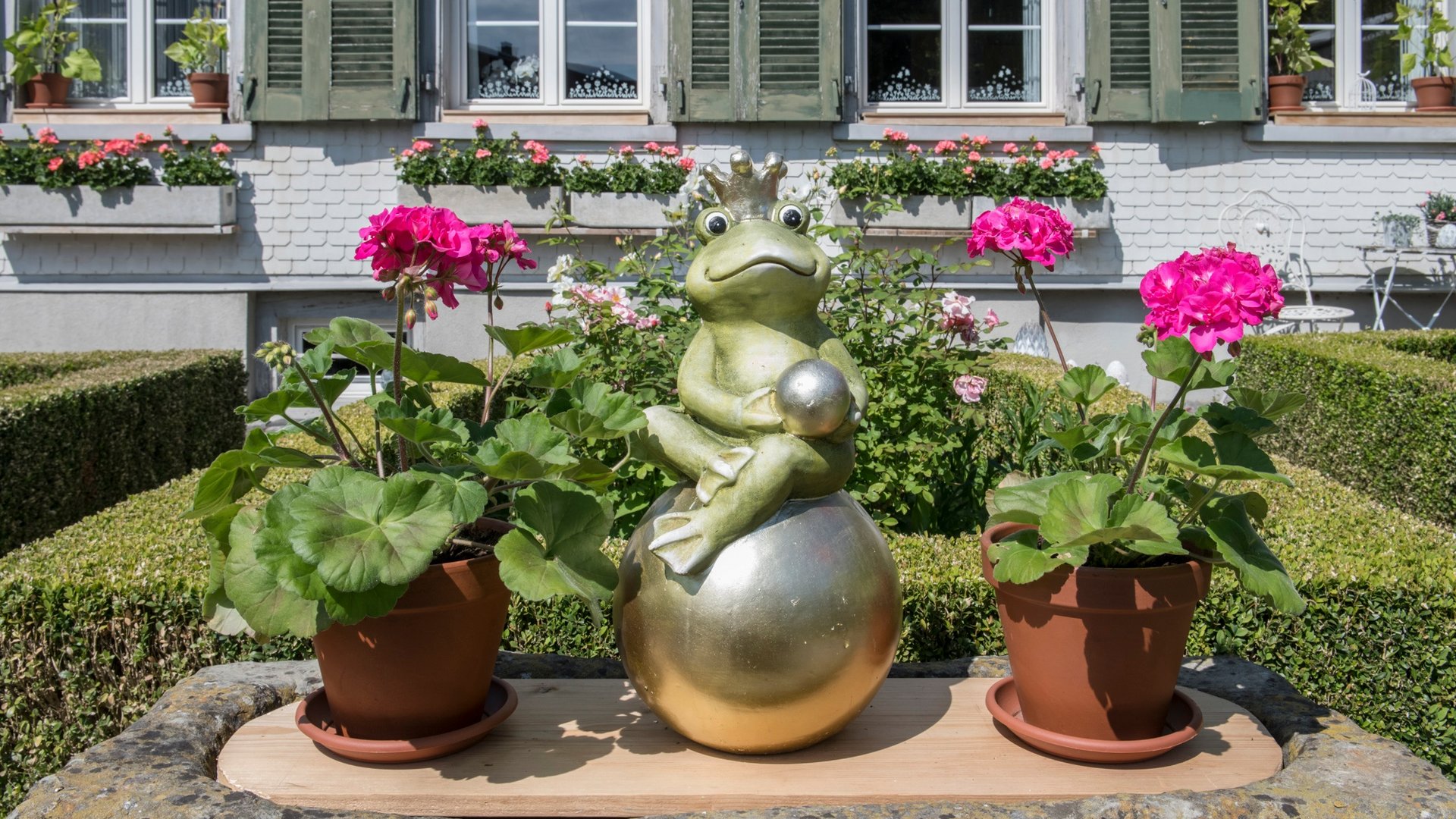 Frog statue with crown on golden egg between flower pots in front of house