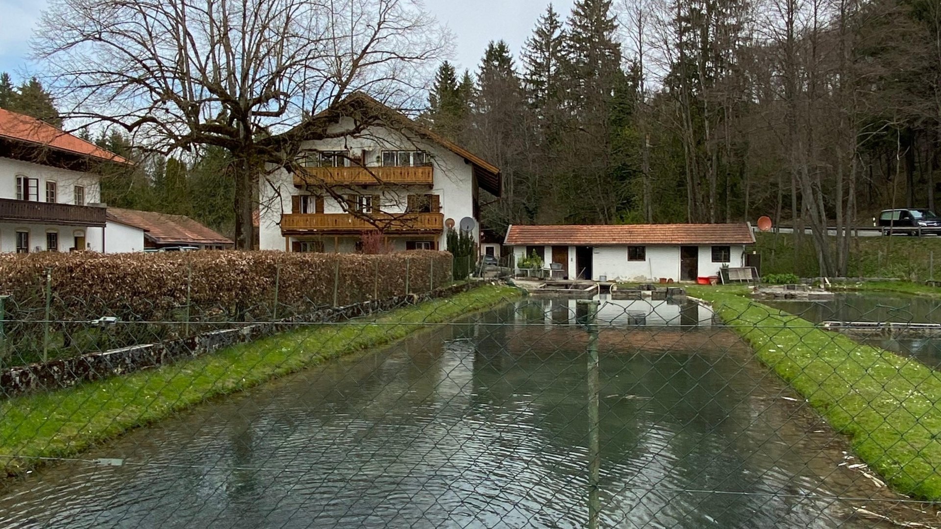 Pond with water in front of rural buildings and bare trees