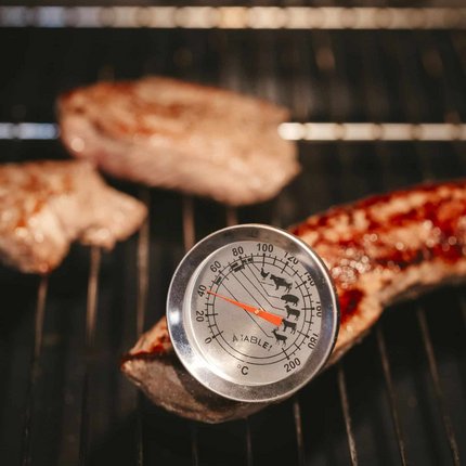 Meat on grill with thermometer measuring temperature