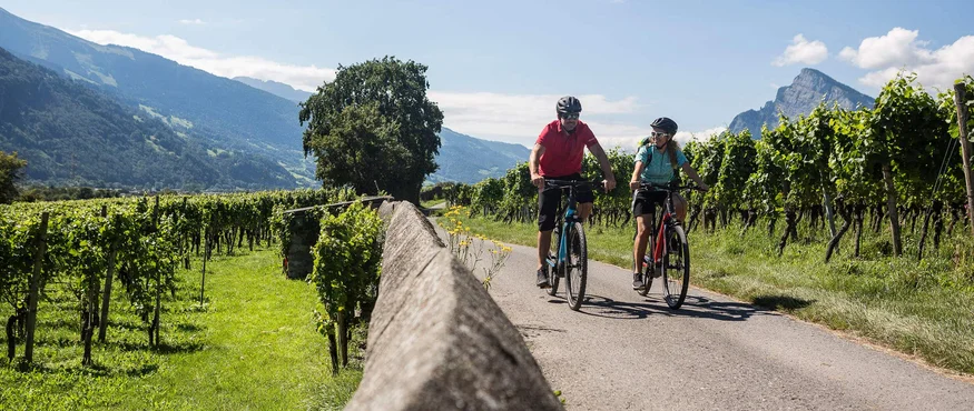 5 Punkte für Heidiland-Bucket List © Velontour Zwei Radfahrer auf Landstraße durch Weinberge mit Bergen im Hintergrund