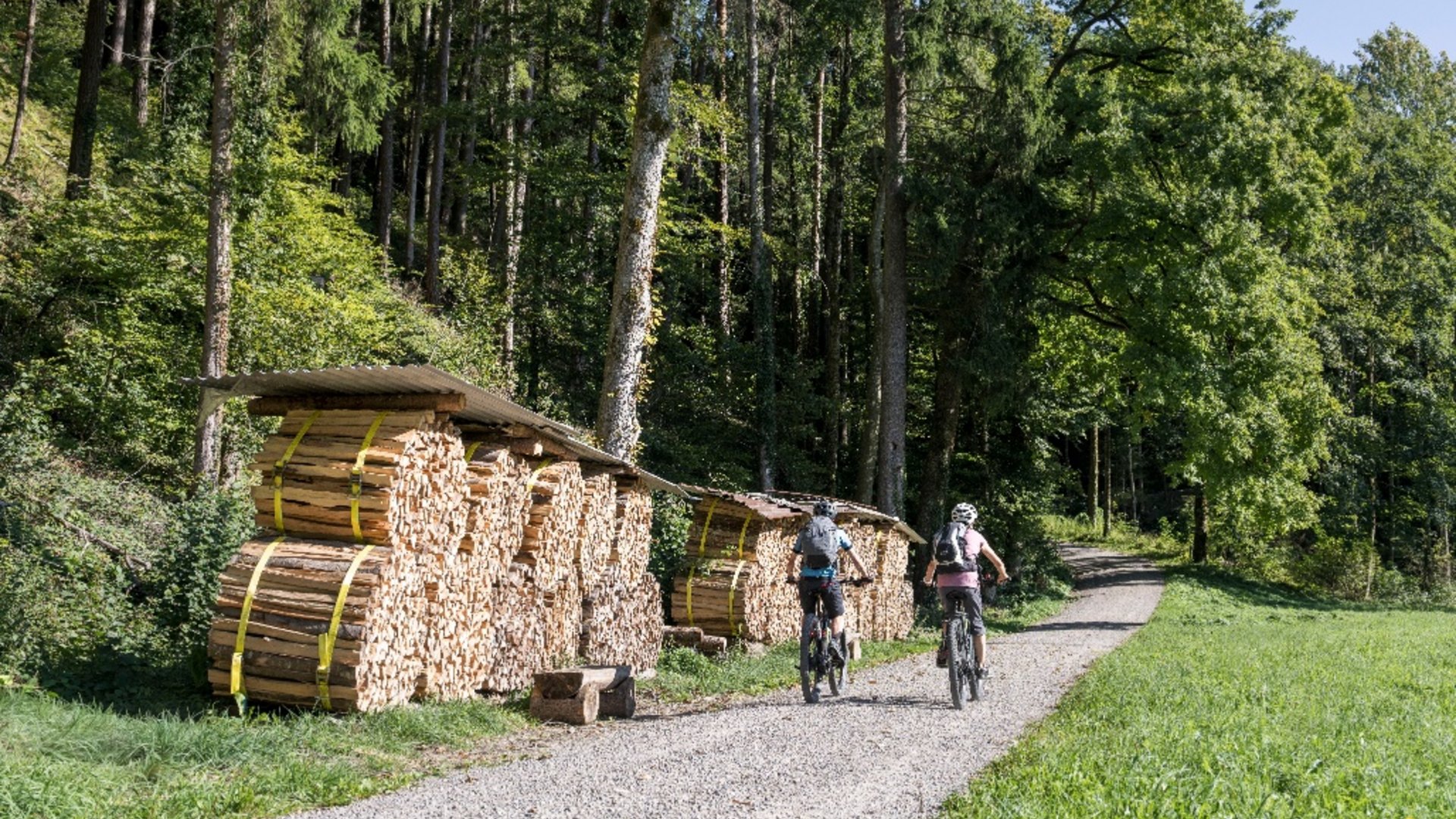 Two cyclists riding on forest trail beside stacked firewood