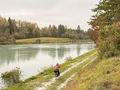 Persoon fietst langs een smal pad bij een rivier met bomen